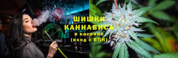 сатива Абдулино