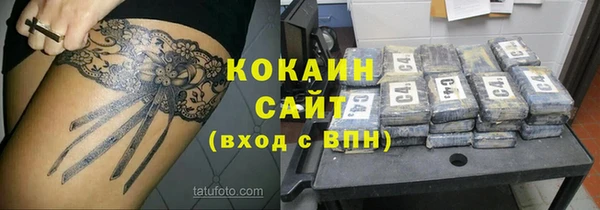 стафф Новозыбков