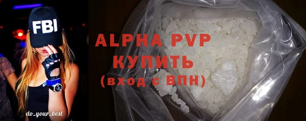 спиды Новодвинск