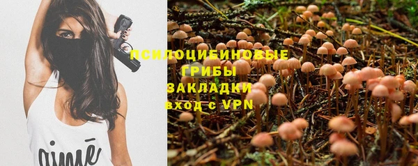 стафф Новозыбков
