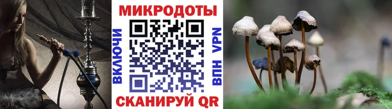 kraken tor  Котово  Галлюциногенные грибы Magic Shrooms  где найти наркотики 